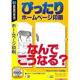ぴったりホームページ印刷 (説明扉付きスリムパッケージ版)