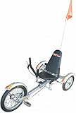 Triton Ultimate Three Wheeled Cruiser, SILVER