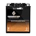 UTX14AH YTX14AH-BS Kawasaki KLF250-A Bayou ATV Battery
