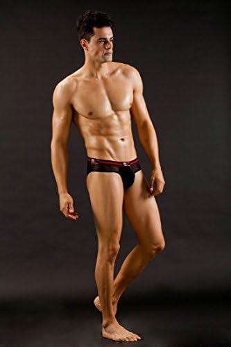 Jiatai Men's Sexy elasticity gauze Transparent Low Rise Briefs