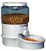 Ergo Auto Pet Feeder, Small