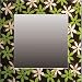 �s�C���e���A �~���[�tFabric Mirror�i�t�@�u���b�N �~���[�@�ԁ@�s���N�E�΁j