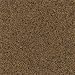 Fritztile Granite Tile Dynamite Orange 12 x 12 Granite Tile