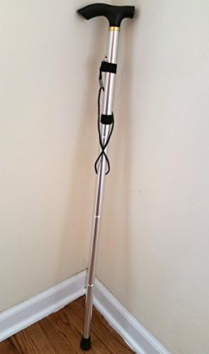 Folding Walking Cane (Silver)