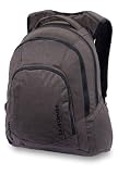 DAKINE Rucksack 101 Pack - 