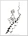 Dr. Seuss: The Cat Behind the Hat: The Collector’s Edition