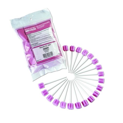 Buy Toothette Oral Swab Box/250 Untreated Individually wrapped HAL5602UT Toothette Oral