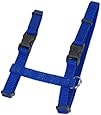 Coastal Pet Products CCP6341BLU Nylon Adjustable Figure H Cat Harness, Blue