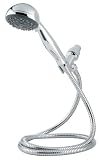 Price Pfister 016-400C Typhoon Handheld Shower, Polished Chrome