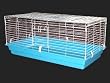 cage guinea pig
