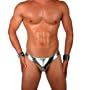 Mens New Liquid Metallic Thong Swimsuit Gary Majdell Sport