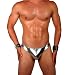 Mens New Liquid Metallic Thong Swimsuit Gary Majdell Sport