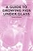A Guide to Growing Figs Under Glass