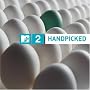 MTV2 Handpicked