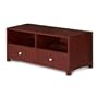 Especially for You Wade 48 Inches Credenza TV Stand (EY2195)