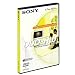 Sony DVD-RW Single Rewritable DVD+RW