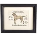 Ballard Designs - Chesapeake Bay Retriever Dog Print