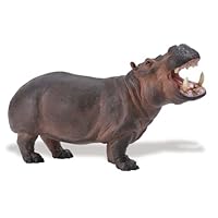 Safari Wildlife Wonders Hippo