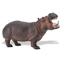 サファリ ワイルドライフワンダーズ カバ