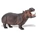 Safari Wildlife Wonders Hippo