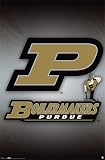 Purdue University (Logo) Gold Wood-Mounted Sports Poster Print - 24 X 36