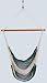 Hammock Chair - Green Stripe