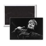 Liza Minnelli - 3x2 inch Fridge Magnet - large magnetic button - Magnet