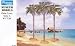 28mm Miniature Terrain: Fan Palm Trees Style A (3)