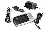 Battery--World Panasonic MW-BCF10 DMW-BCF10E DMW-BCF10PP CGA-S009 CGA-S009E CGA-S106B Digital Camera Replacement Battery Charger - AC & DC Compatible Travel Battery Charger