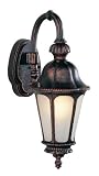 Bel Air Lighting PL-4271 RT Rust Outdoor Wall Light