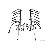 Beru Ignition Wire Set by Beru AG