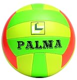 Lion PALMA Beachvolleyball, einfacher zweilagiger Trainingsball, Groesse 5