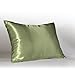 Sweet Dreams Luxury Satin Pillowcase with Zipper, Standard Size, Sage (Silky Satin Pillow Case for Hair) By Shop Bedding