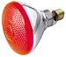 Incandescent Flood Light Bulb, BR38, 100 Watt, Outdoor, Red