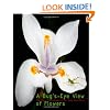 A Bug's-Eye View of Flowers: The Micro Photography of Dr. Gary Greenberg
