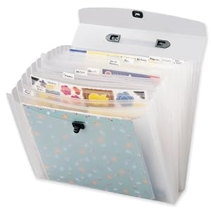 Generations-Memory-File-Expandable-Storage-Case-Frost-12-Inch-by-12-Inch