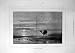 1877 Sea Aral Sunset Camel Beach Fine Art Print