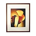 Gallery Framed Calla Lillies - Java (16x20")