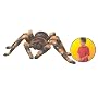 National Geographic Remote Control Tarantula