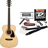 S.Yairi�i���C���j YF30 �A�R�[�X�e�B�b�N�M�^�[�E�X�y�V�����Z�b�g�i�i�`�������jTraditional Series YF-30/N SP-SET