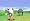 Bomberman Land