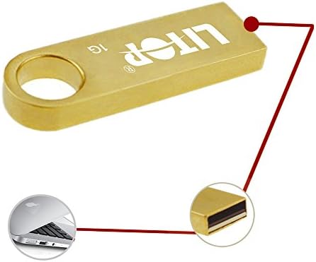 Litop® 1GB Metal Car Key USB Flash Drive USB 2.0 Memory Disk Plus 1 Neck Strap and 1 Wrist Strap as a Gift
