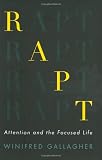 Rapt.new Image of Rapt.new