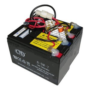 Razor E200/300 Electric Scooter battery E200 (V13+) E300 (V11 & V13+) - W13112430185