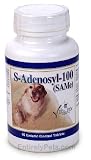 S Adenosyl 100 (SAMe) for Small Dogs Cats - 100 mg (60 tab)