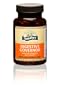 Digestive Governor Vegetarian Capsules 60 Ct.