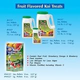Imperial Garden Products OSI Koi Gourmet Food Treat Mixed Fruits Flavored Large 11.5oz