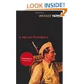 A Special Providence (Vintage Classics)