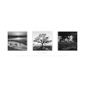 Trilogy Poster - 12x36"