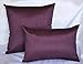 Aiking Home Solid Faux Silk Decorative Pillow Cover, Zipper Closure, 12 by 18 Inches, Eggplant